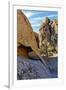 USA, Alabama Hills, California. Long Pine-Joe Restuccia III-Framed Premium Photographic Print