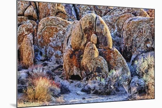 USA, Alabama Hills, California. Long Pine-Joe Restuccia III-Mounted Premium Photographic Print