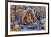 USA, Alabama Hills, California. Long Pine-Joe Restuccia III-Framed Photographic Print