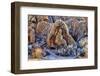 USA, Alabama Hills, California. Long Pine-Joe Restuccia III-Framed Photographic Print