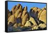 USA, Alabama Hills, California. Long Pine-Joe Restuccia III-Framed Stretched Canvas