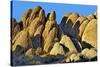 USA, Alabama Hills, California. Long Pine-Joe Restuccia III-Stretched Canvas