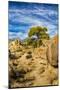 USA, Alabama Hills, California. Long Pine-Joe Restuccia III-Mounted Photographic Print