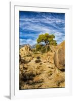 USA, Alabama Hills, California. Long Pine-Joe Restuccia III-Framed Premium Photographic Print