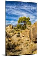 USA, Alabama Hills, California. Long Pine-Joe Restuccia III-Mounted Premium Photographic Print