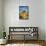 USA, Alabama Hills, California. Long Pine-Joe Restuccia III-Framed Stretched Canvas displayed on a wall