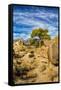 USA, Alabama Hills, California. Long Pine-Joe Restuccia III-Framed Stretched Canvas