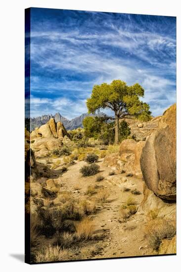 USA, Alabama Hills, California. Long Pine-Joe Restuccia III-Stretched Canvas