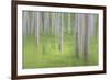 USA, Alaska. Abstract blur of birch trees.-Jaynes Gallery-Framed Premium Photographic Print