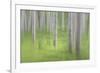 USA, Alaska. Abstract blur of birch trees.-Jaynes Gallery-Framed Photographic Print