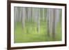 USA, Alaska. Abstract blur of birch trees.-Jaynes Gallery-Framed Photographic Print