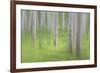 USA, Alaska. Abstract blur of birch trees.-Jaynes Gallery-Framed Photographic Print