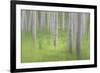 USA, Alaska. Abstract blur of birch trees.-Jaynes Gallery-Framed Photographic Print