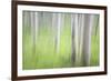 USA, Alaska. Abstract motion blur of birch trees.-Jaynes Gallery-Framed Photographic Print