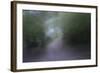 USA, Alaska, Abstract Pathway-Savanah Stewart-Framed Photographic Print