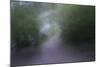 USA, Alaska, Abstract Pathway-Savanah Stewart-Mounted Photographic Print