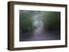 USA, Alaska, Abstract Pathway-Savanah Stewart-Framed Photographic Print