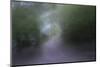 USA, Alaska, Abstract Pathway-Savanah Stewart-Mounted Photographic Print