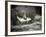 USA, Alaska, Anan Creek. Close-up of black bear catching salmon.-Don Paulson-Framed Photographic Print