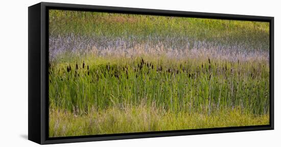 USA, Alaska, Anchorage. Scenic of Potter Marsh.-Jaynes Gallery-Framed Stretched Canvas