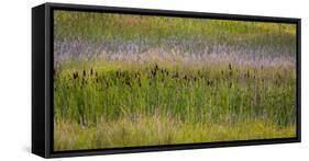 USA, Alaska, Anchorage. Scenic of Potter Marsh.-Jaynes Gallery-Framed Stretched Canvas