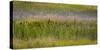 USA, Alaska, Anchorage. Scenic of Potter Marsh.-Jaynes Gallery-Stretched Canvas