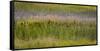 USA, Alaska, Anchorage. Scenic of Potter Marsh.-Jaynes Gallery-Framed Stretched Canvas