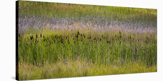 USA, Alaska, Anchorage. Scenic of Potter Marsh.-Jaynes Gallery-Stretched Canvas