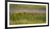 USA, Alaska, Anchorage. Scenic of Potter Marsh.-Jaynes Gallery-Framed Photographic Print