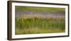 USA, Alaska, Anchorage. Scenic of Potter Marsh.-Jaynes Gallery-Framed Premium Photographic Print