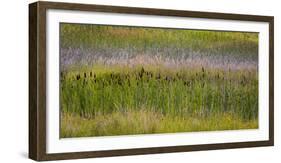 USA, Alaska, Anchorage. Scenic of Potter Marsh.-Jaynes Gallery-Framed Premium Photographic Print