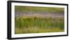 USA, Alaska, Anchorage. Scenic of Potter Marsh.-Jaynes Gallery-Framed Premium Photographic Print