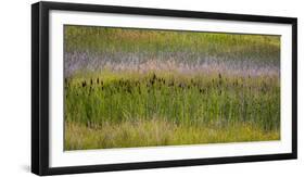 USA, Alaska, Anchorage. Scenic of Potter Marsh.-Jaynes Gallery-Framed Premium Photographic Print