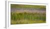 USA, Alaska, Anchorage. Scenic of Potter Marsh.-Jaynes Gallery-Framed Premium Photographic Print