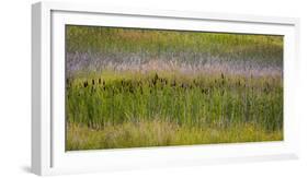 USA, Alaska, Anchorage. Scenic of Potter Marsh.-Jaynes Gallery-Framed Premium Photographic Print