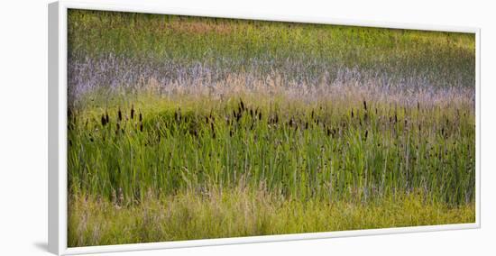 USA, Alaska, Anchorage. Scenic of Potter Marsh.-Jaynes Gallery-Framed Photographic Print