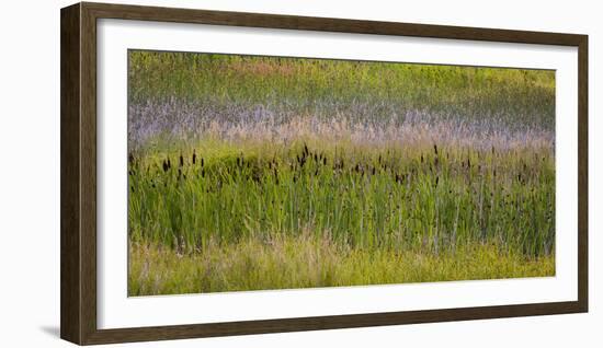 USA, Alaska, Anchorage. Scenic of Potter Marsh.-Jaynes Gallery-Framed Photographic Print