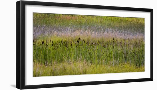 USA, Alaska, Anchorage. Scenic of Potter Marsh.-Jaynes Gallery-Framed Photographic Print