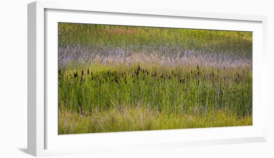 USA, Alaska, Anchorage. Scenic of Potter Marsh.-Jaynes Gallery-Framed Photographic Print