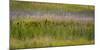 USA, Alaska, Anchorage. Scenic of Potter Marsh.-Jaynes Gallery-Mounted Photographic Print