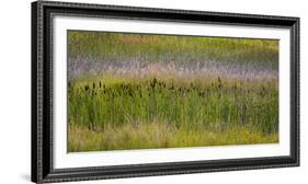 USA, Alaska, Anchorage. Scenic of Potter Marsh.-Jaynes Gallery-Framed Photographic Print