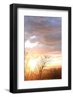 USA, Alaska, Anchorage, sunset from hillside-Savanah Stewart-Framed Photographic Print