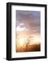 USA, Alaska, Anchorage, sunset from hillside-Savanah Stewart-Framed Photographic Print