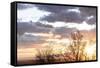 USA, Alaska, Anchorage, sunset from hillside-Savanah Stewart-Framed Stretched Canvas