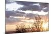 USA, Alaska, Anchorage, sunset from hillside-Savanah Stewart-Mounted Photographic Print