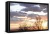 USA, Alaska, Anchorage, sunset from hillside-Savanah Stewart-Framed Stretched Canvas