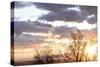 USA, Alaska, Anchorage, sunset from hillside-Savanah Stewart-Stretched Canvas