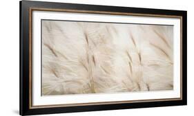 USA, Alaska, Arctic. Abstract of foxtail barley.-Jaynes Gallery-Framed Photographic Print