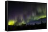 USA, Alaska, Aurora borealis and stars.-Jaynes Gallery-Framed Stretched Canvas