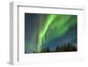 USA, Alaska. Aurora Borealis over Forest-Cathy & Gordon Illg-Framed Photographic Print